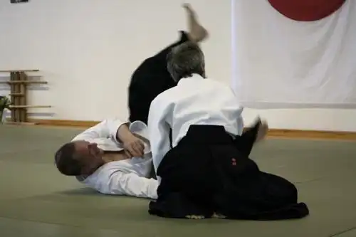 Tamura Sensei Seminar 2008.