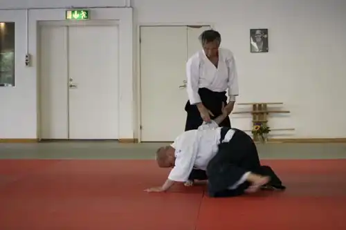 Tamura Sensei Seminar 2008.