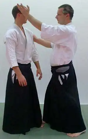 katadori yokomenuchi