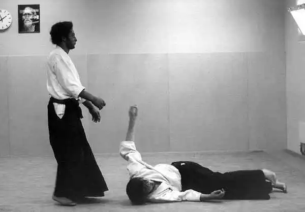 Brandbergen Aikido in the 1980s.