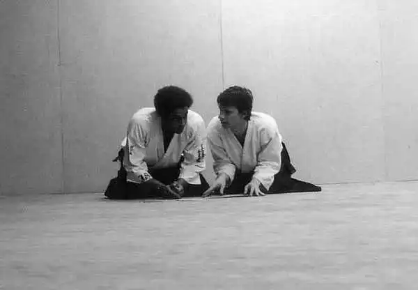 Brandbergen Aikido in the 1980s.