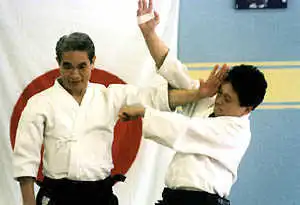 Nishio sensei seminar.