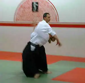 Aikido class.