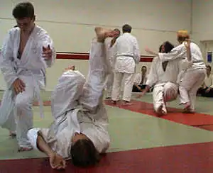 Aikido grading.