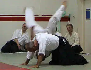 Aikido grading.