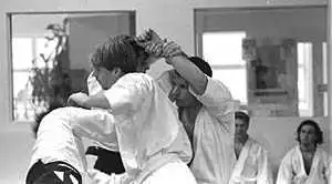 Aikido taninzugake.