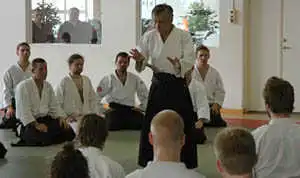 Tamura sensei seminar.