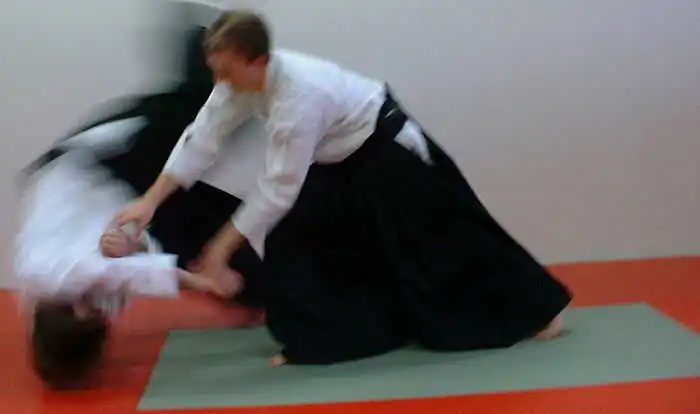 aikido