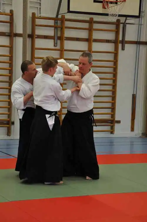 Gubbngen aikido seminar 2010.