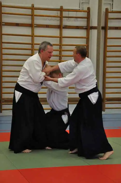 Gubbngen aikido seminar 2010.