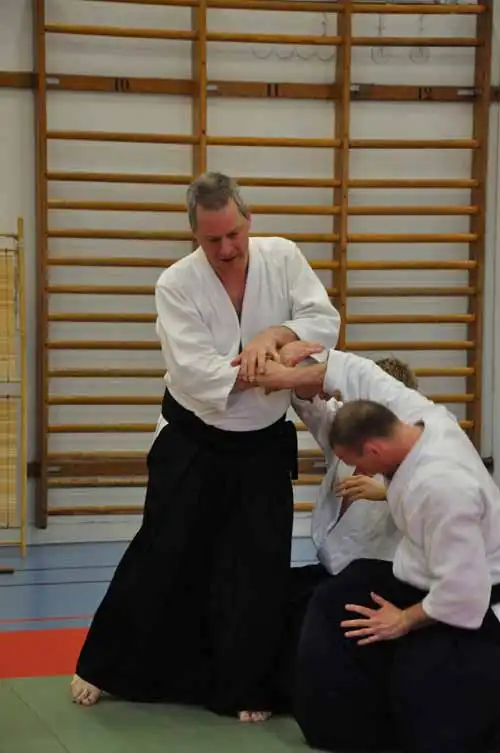 Gubbngen aikido seminar 2010.