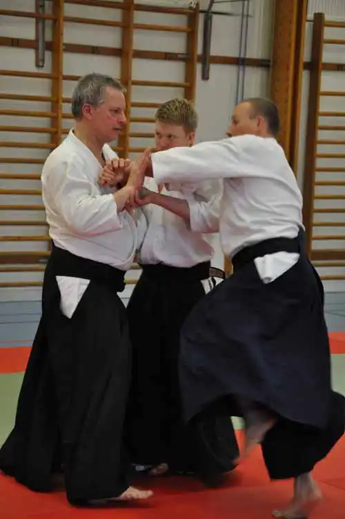 Gubbngen aikido seminar 2010.