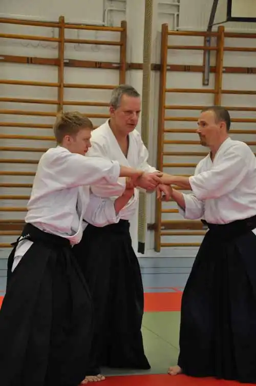 Gubbngen aikido seminar 2010.