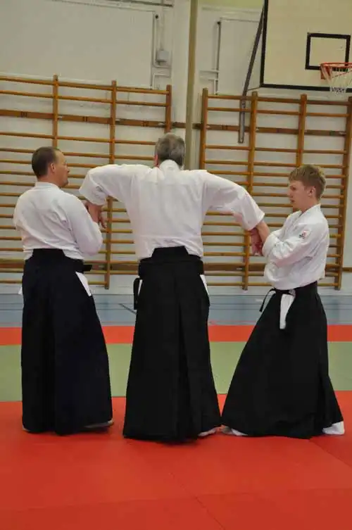 Gubbngen aikido seminar 2010.