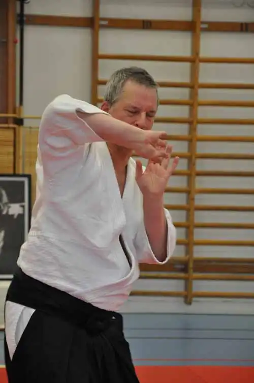 Gubbngen aikido seminar 2010.