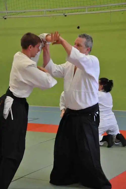 Gubbngen aikido seminar 2010.