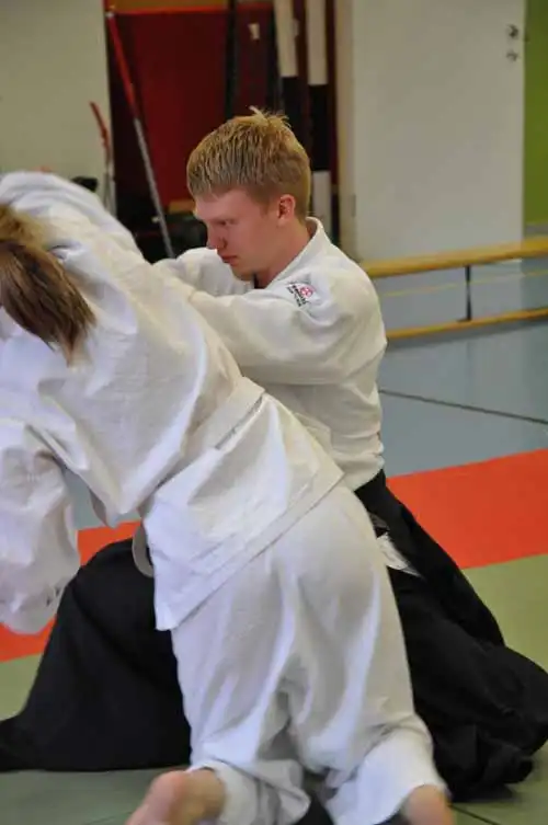 Gubbngen aikido seminar 2010.