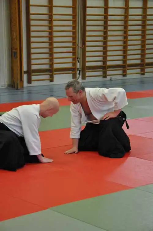 Gubbngen aikido seminar 2010.