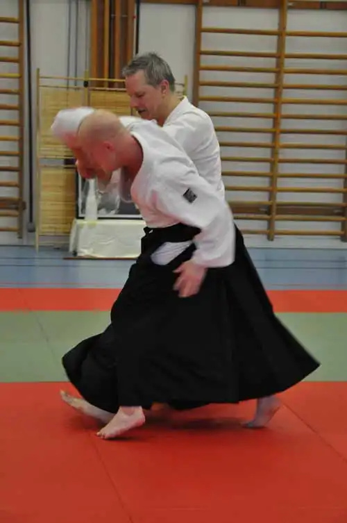 Gubbngen aikido seminar 2010.