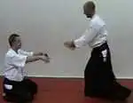 hanmi handachiwaza ryotedori