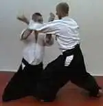 hanmi handachiwaza yokomenuchi