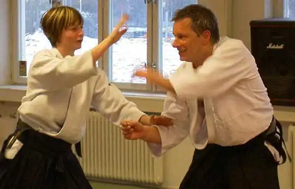 Aikido — Jönköping 2004