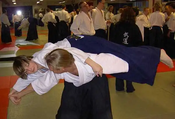 Aikido — Jönköping 2004