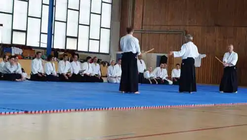 Plzen aikido seminar 2014.