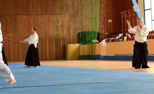 Plzen aikido seminar 2014.