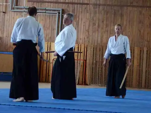 Plzen aikido seminar 2014.