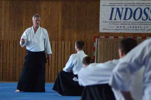 Plzen aikido seminar 2014.