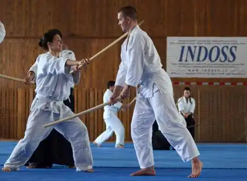 Plzen aikido seminar 2014.