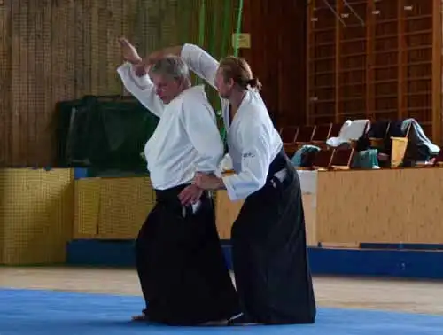 Plzen aikido seminar 2014.