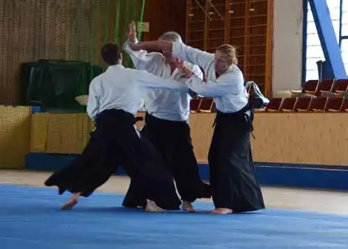 Plzen aikido seminar 2014.