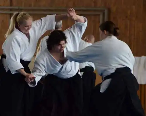 Plzen aikido seminar 2014.