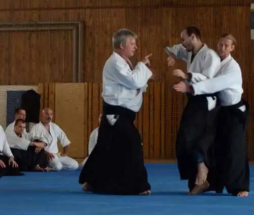 Plzen aikido seminar 2014.