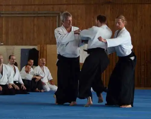 Plzen aikido seminar 2014.