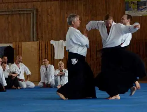 Plzen aikido seminar 2014.