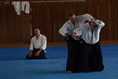 Plzen aikido seminar 2014.