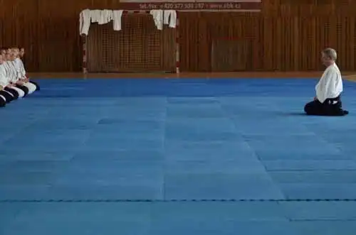 Plzen aikido seminar 2014.