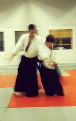 Aikido — Ghosts at Enighet.