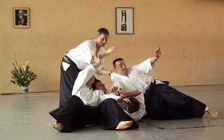 Stefan Stenudd aikido seminar in Berlin.