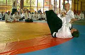 Aikido — Plzen 2000.