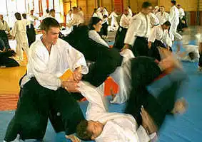 Aikido — Plzen 2000.