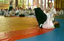 Aikido