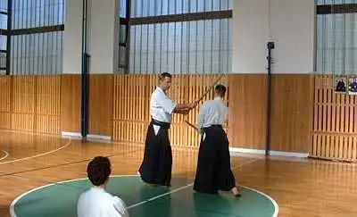 Aikido — Zlin 2000