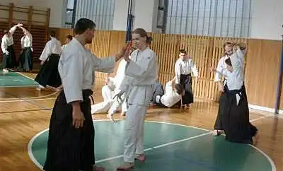 Aikido — Zlin 2000