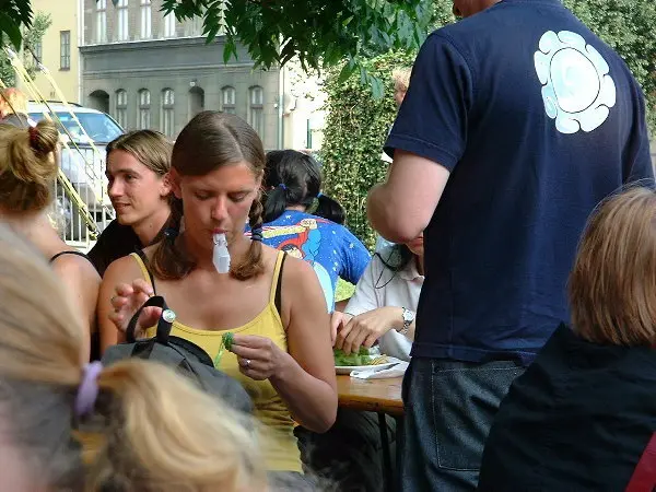 Folks at a festival. Photo: Stefan Stenudd.