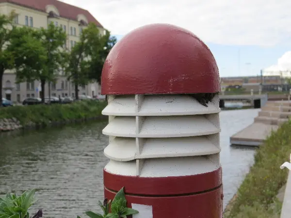 Malm Closeup at Midsummer. Photo by Stefan Stenudd.