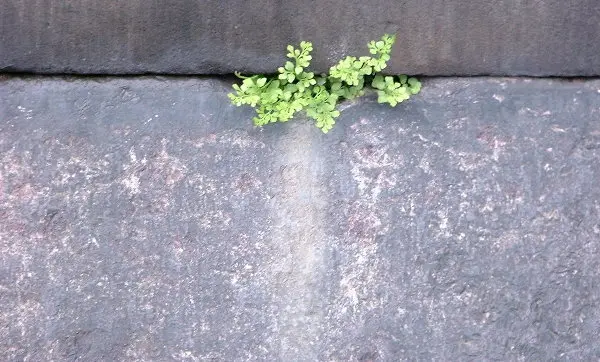 Stone on stone. Photo of Lund cathedral, by Stefan Stenudd